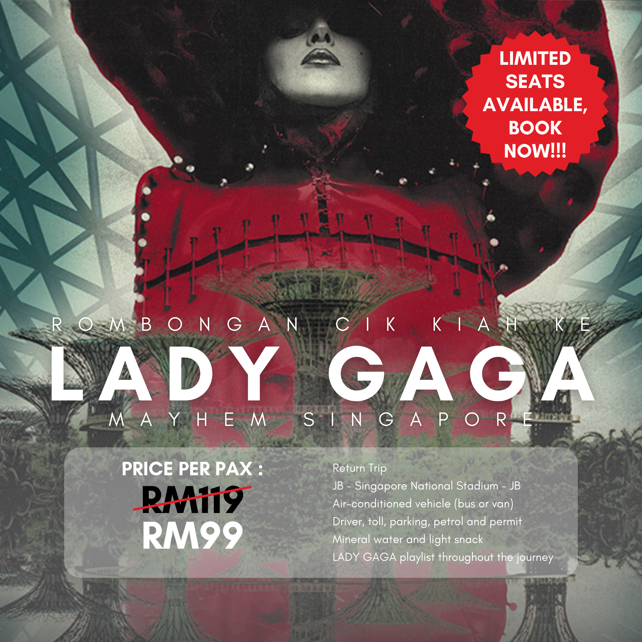 Lady Gaga Mayhem Singapore Concert Return Trip Ticket (from Johor Bahru to Singapore to Johor Bahru)