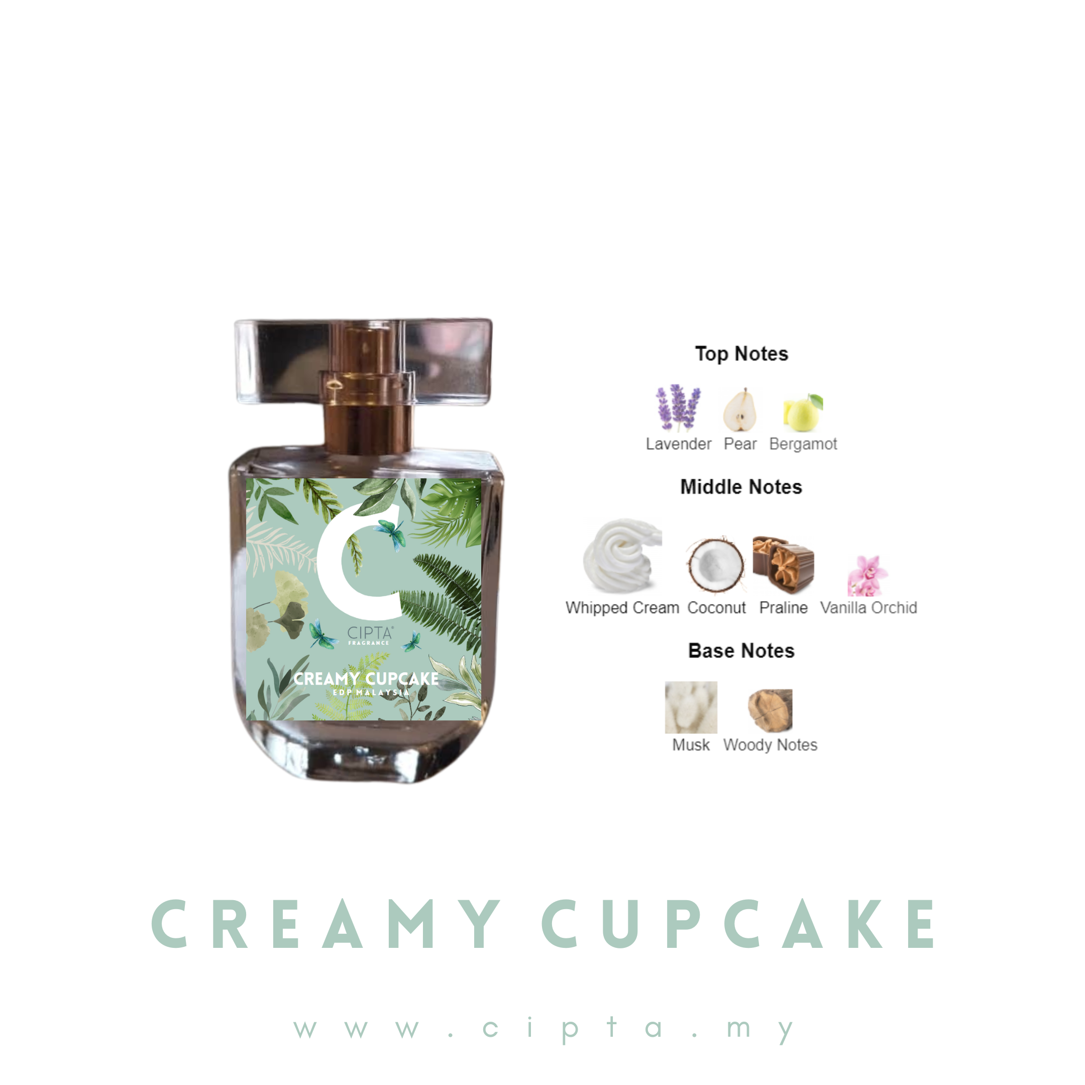 CREAMY CUPCAKE