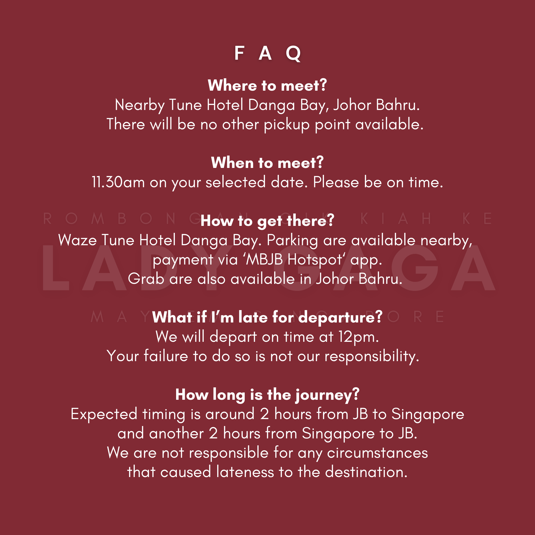 Lady Gaga Mayhem Singapore Concert Return Trip Ticket (from Johor Bahru to Singapore to Johor Bahru)