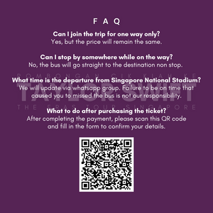 Taylor Swift Concert Return Trip Ticket (from Johor Bahru to Singapore to Johor Bahru)